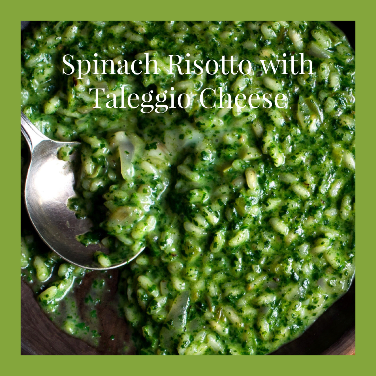 Spinach Risotto with Taleggio Cheese